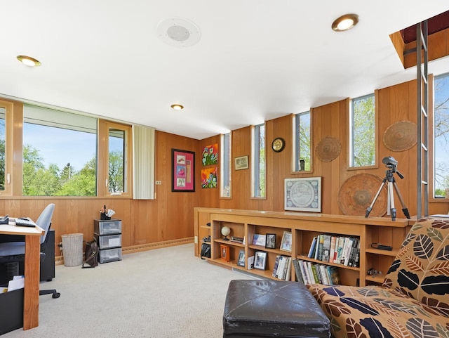 4701 4th St, Kenosha, WI 53144 - carpeted office space featuring wood walls and recessed lighting