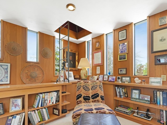 4701 4th St, Kenosha, WI 53144 - living area featuring wooden walls