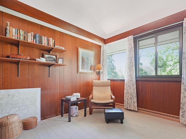 4701 4th St, Kenosha, WI 53144 - sitting room featuring carpet floors, lofted ceiling, and wooden walls