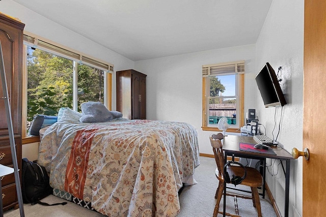 W6023 Lake Dr, Shawano, WI 54166 - bedroom with light colored carpet, multiple windows, and baseboards