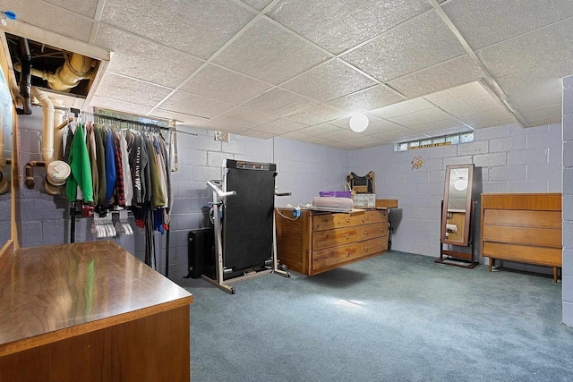 W6023 Lake Dr, Shawano, WI 54166 - finished basement with concrete block wall and carpet flooring