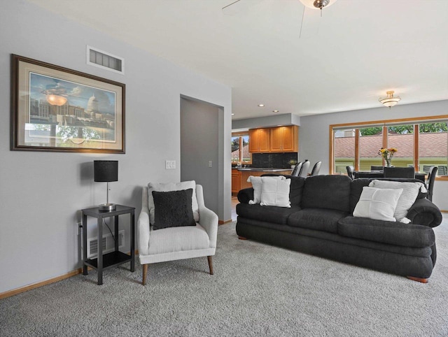 1306 Neponset Trl, Monona, WI 53716 - living room featuring light carpet and baseboards
