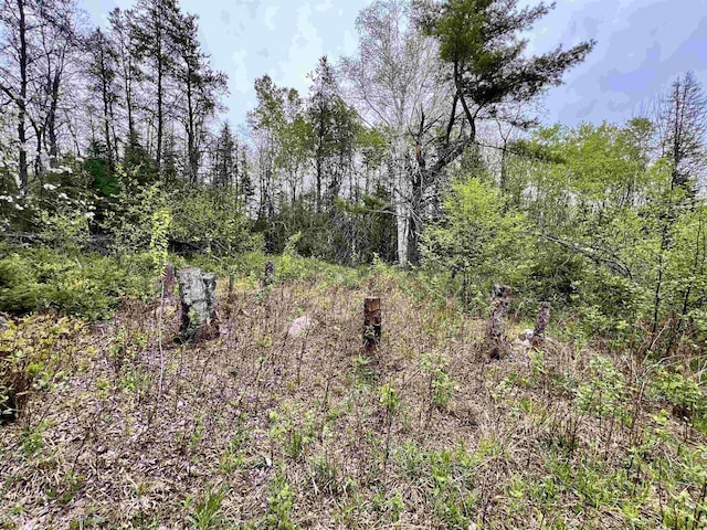 Bergeson Ln, Amberg, WI 54102