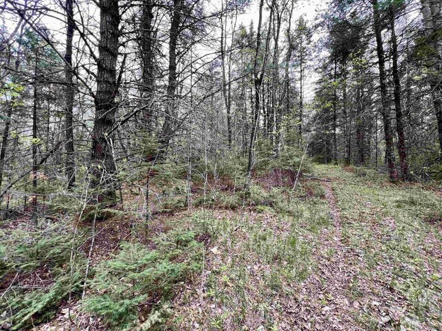 Bergeson Ln, Amberg, WI 54102