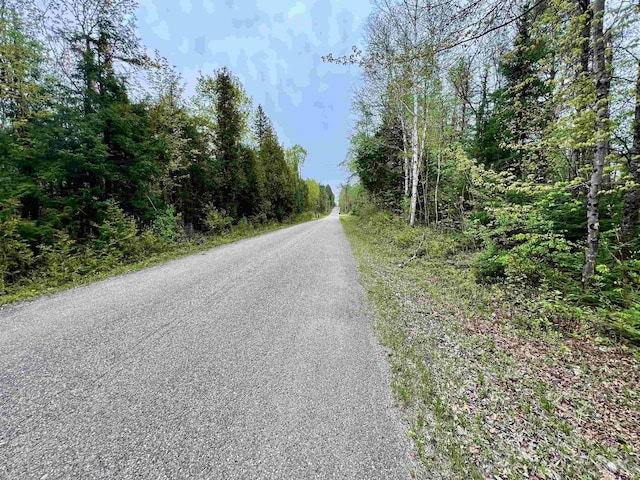 Bergeson Ln, Amberg, WI 54102