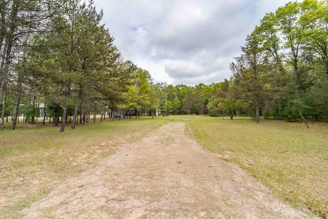 618 Little Fawn Dr, Nekoosa, WI 54457 - view of road with a forest view