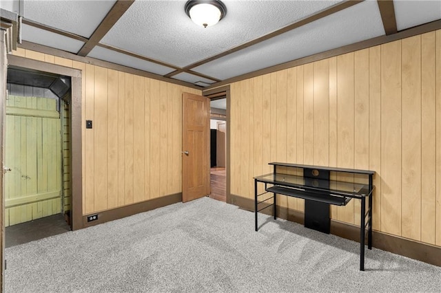 1020 E 10th St, Menomonie, WI 54751 - carpeted bedroom with wooden walls and a textured ceiling