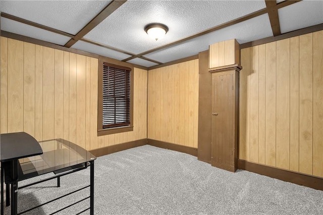 1020 E 10th St, Menomonie, WI 54751 - home office featuring carpet flooring, wooden walls, baseboards, and a textured ceiling