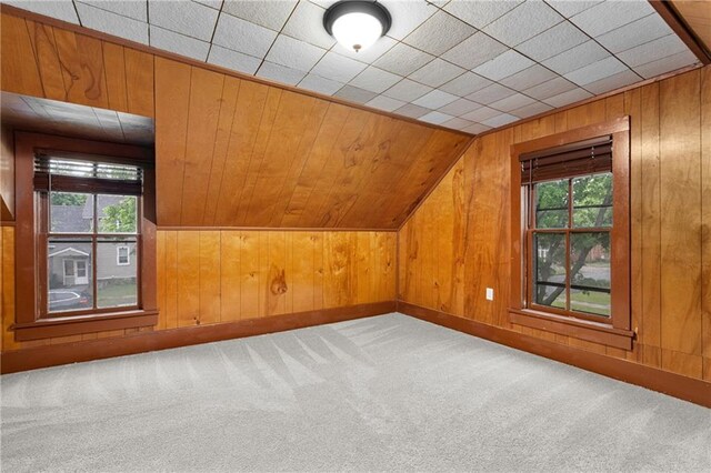 1020 E 10th St, Menomonie, WI 54751 - bonus room with healthy amount of natural light, carpet floors, wood walls, and vaulted ceiling