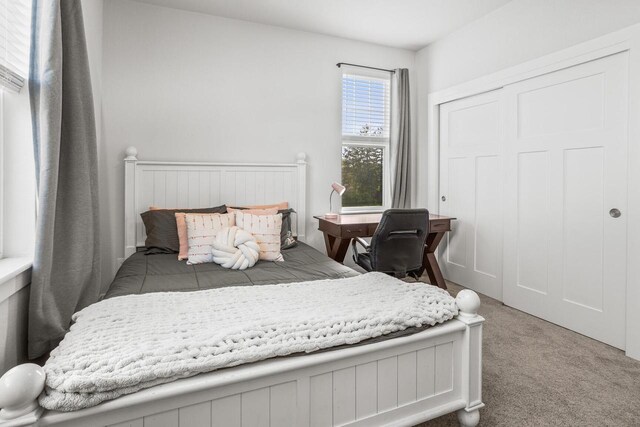 W239N7521 High Ridge Dr, Sussex, WI 53089 - carpeted bedroom with a closet