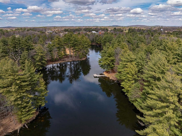 134 Glen View Dr Unit 44, Wisconsin Dells, WI 53965 - aerial view of property's location with a heavily wooded area and a nearby body of water