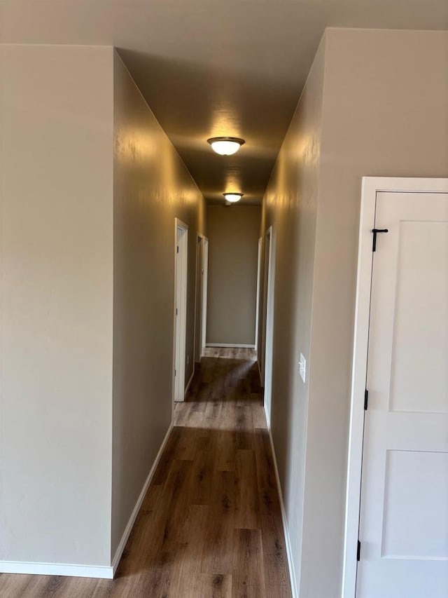1236 Northwood Dr, Seymour, WI 54165 - hall with dark wood-style flooring and baseboards