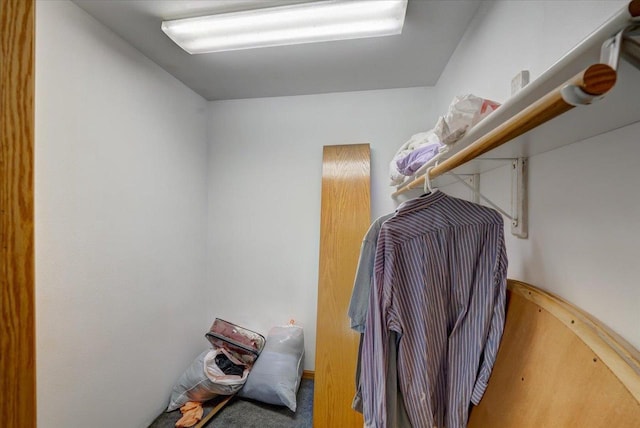S7635 High Point Dr, Merrimac, WI 53561 - view of spacious closet