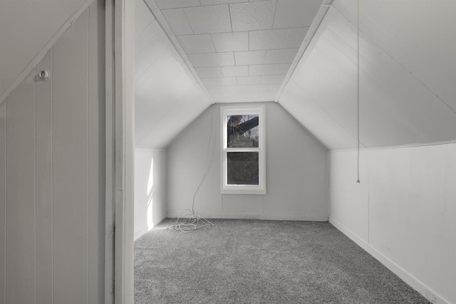 924 N Stevens St, Rhinelander, WI 54501 - bonus room with carpet flooring and lofted ceiling