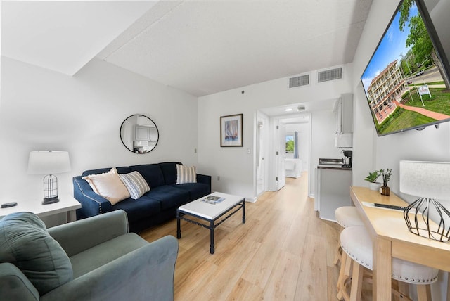 335 Wrigley Dr Unit 411, Lake Geneva, WI 53147 - living area with light wood-type flooring