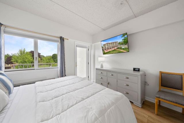 335 Wrigley Dr Unit 411, Lake Geneva, WI 53147 - bedroom featuring light wood finished floors