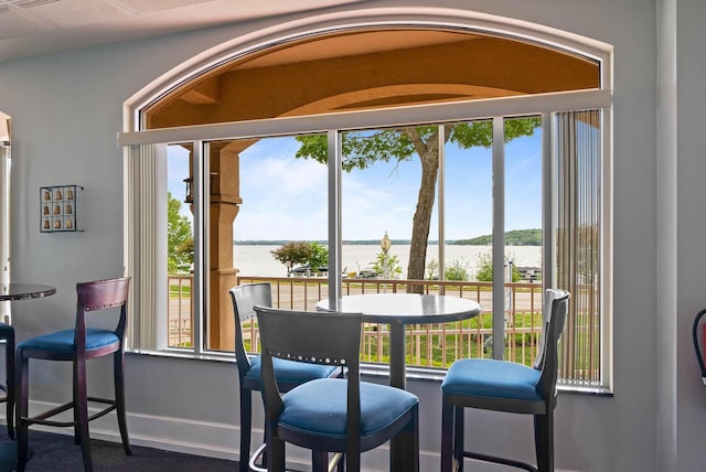 335 Wrigley Dr Unit 411, Lake Geneva, WI 53147 - dining space with a water view and baseboards