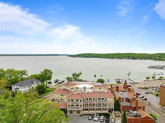 335 Wrigley Dr Unit 411, Lake Geneva, WI 53147 - aerial view of a large body of water