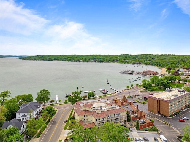 335 Wrigley Dr Unit 411, Lake Geneva, WI 53147 - bird's eye view of a nearby body of water and a forest