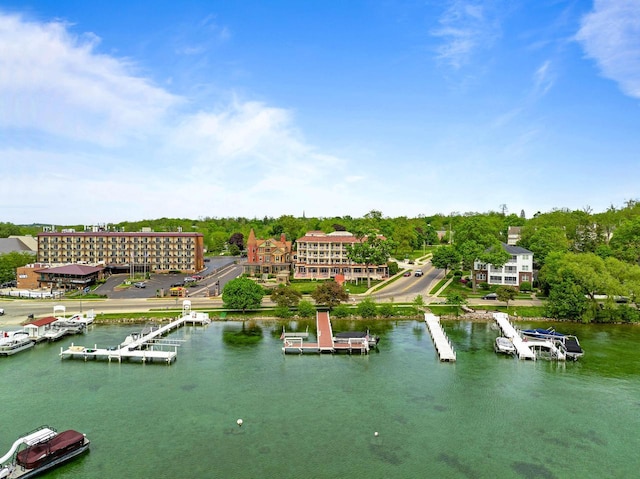 335 Wrigley Dr Unit 411, Lake Geneva, WI 53147 - drone / aerial view of a large body of water and a tree filled landscape