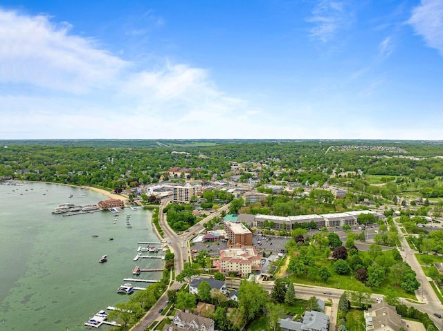 335 Wrigley Dr Unit 411, Lake Geneva, WI 53147 - aerial view of property's location featuring a large body of water