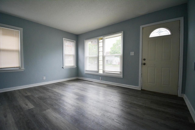 4646 N 51st Blvd, Milwaukee, WI 53218 - entrance foyer featuring plenty of natural light, dark wood-style floors, baseboards, and a textured ceiling