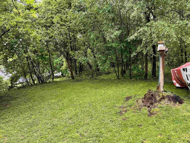667 S Ira St, Richland Center, WI 53581 - view of green lawn