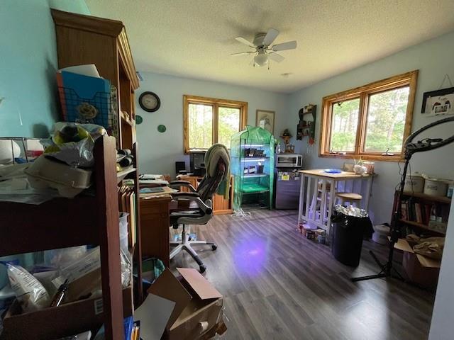 13550 W Froemel Rd, Hayward, WI 54843 - office area with wood finished floors, ceiling fan, and a textured ceiling