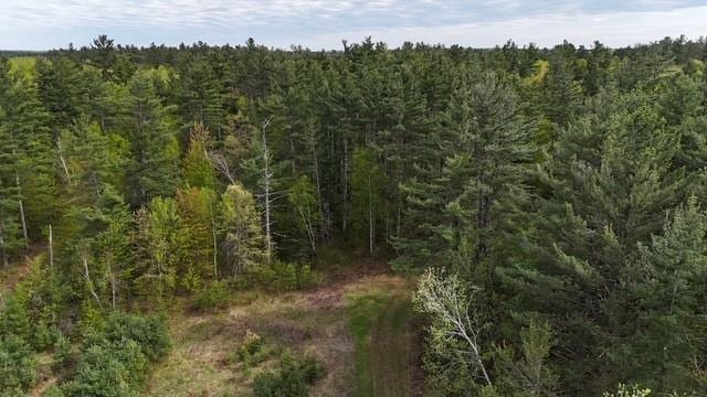 13550 W Froemel Rd, Hayward, WI 54843 - view of tree filled area