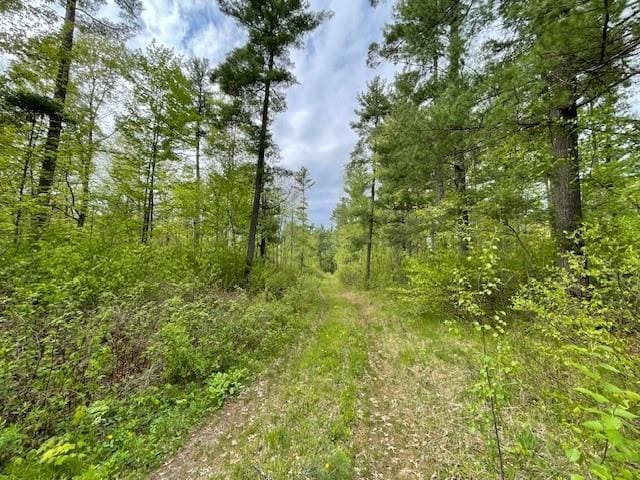 13550 W Froemel Rd, Hayward, WI 54843 - view of tree filled area