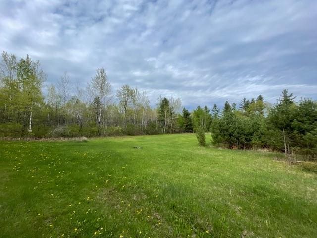 13550 W Froemel Rd, Hayward, WI 54843 - view of green lawn