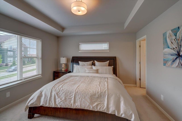 9327 Silicon Prairie Pkwy, Verona, WI 53593 - bedroom featuring light colored carpet, a tray ceiling, and baseboards