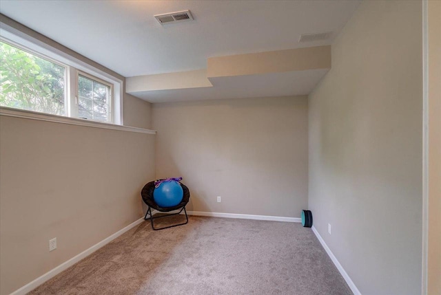 9327 Silicon Prairie Pkwy, Verona, WI 53593 - exercise area with carpet floors and baseboards