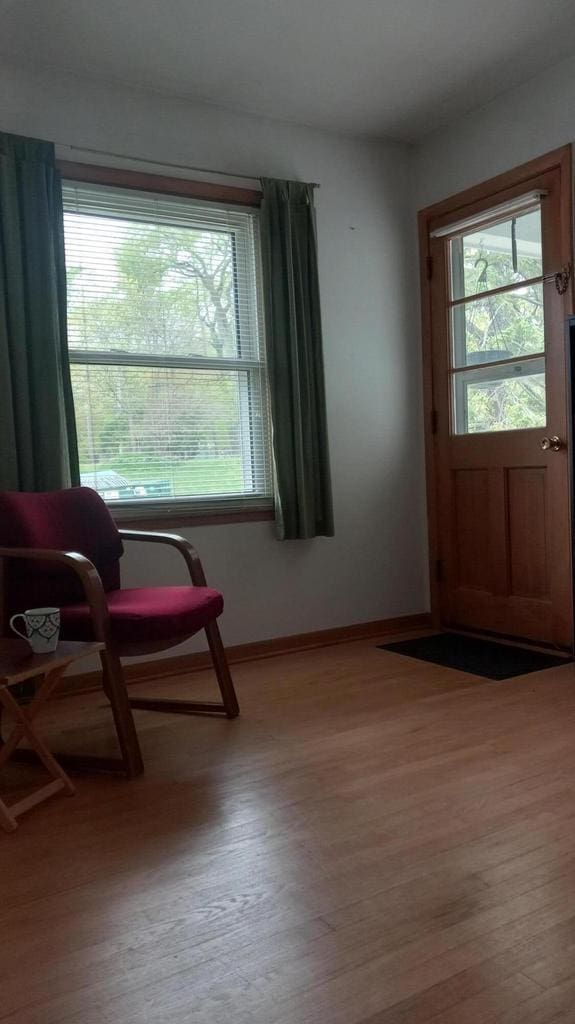 1342 E Randolph Ct Unit C, Milwaukee, WI 53212 - foyer featuring healthy amount of natural light and wood finished floors