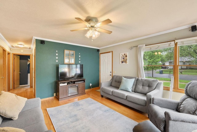 3609 Brigham Ave, Madison, WI 53714 - living room with crown molding, light wood-style flooring, ceiling fan, and baseboards