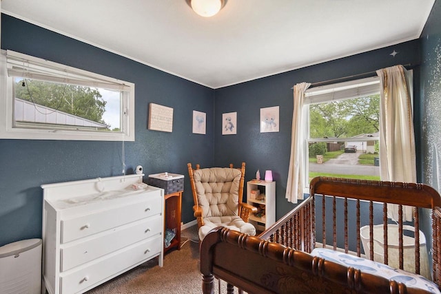 3609 Brigham Ave, Madison, WI 53714 - carpeted bedroom with crown molding