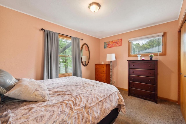 3609 Brigham Ave, Madison, WI 53714 - bedroom featuring carpet, crown molding, and baseboards