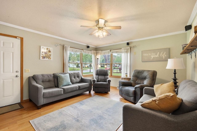 3609 Brigham Ave, Madison, WI 53714 - living room featuring light wood-style flooring, a ceiling fan, a textured ceiling, and crown molding