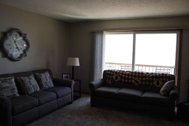 421 River St, Merrimac, WI 53561 - living area with a textured ceiling and carpet