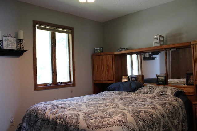 421 River St, Merrimac, WI 53561 - view of bedroom