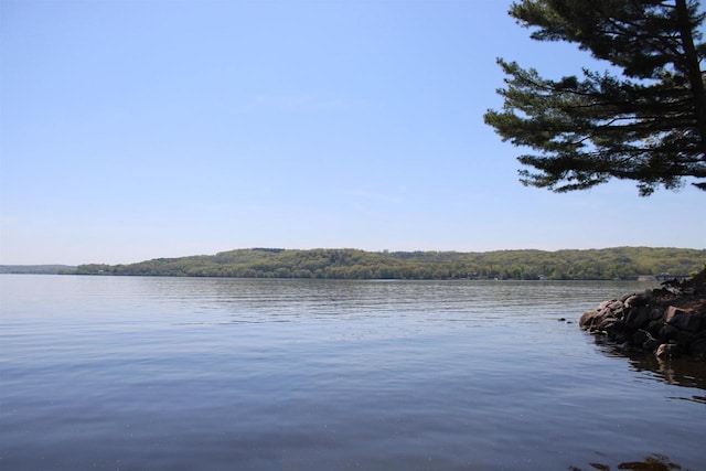 421 River St, Merrimac, WI 53561 - water view featuring a forest