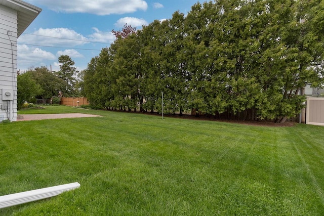 306 W Michigan St, Appleton, WI 54911 - view of yard