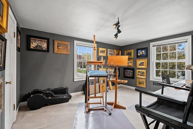 2522 Martha Ave, Green Bay, WI 54301 - office featuring carpet flooring, baseboards, and a textured ceiling