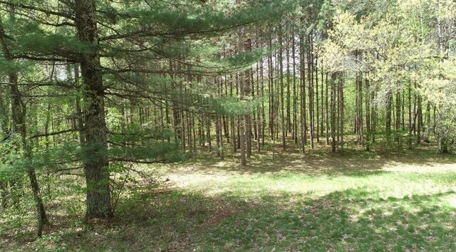7431 Jordan Buck Trl, Danbury, WI 54830 - view of tree filled area