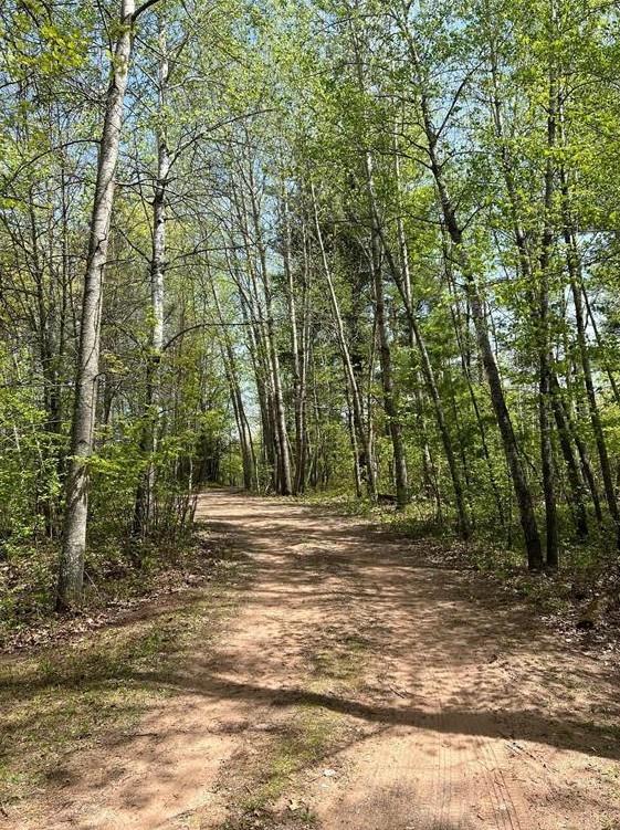 7431 Jordan Buck Trl, Danbury, WI 54830 - view of street featuring a view of trees
