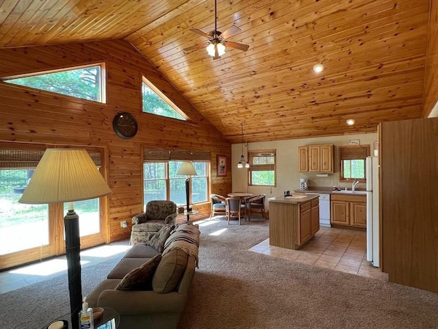 7431 Jordan Buck Trl, Danbury, WI 54830 - living area featuring high vaulted ceiling, wooden ceiling, healthy amount of natural light, light colored carpet, and wood walls