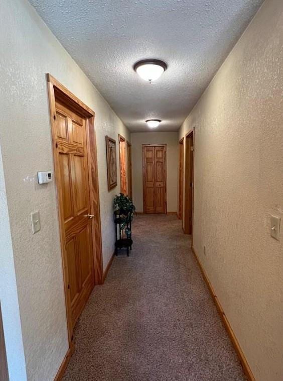7431 Jordan Buck Trl, Danbury, WI 54830 - hall featuring a textured wall, a textured ceiling, and light colored carpet