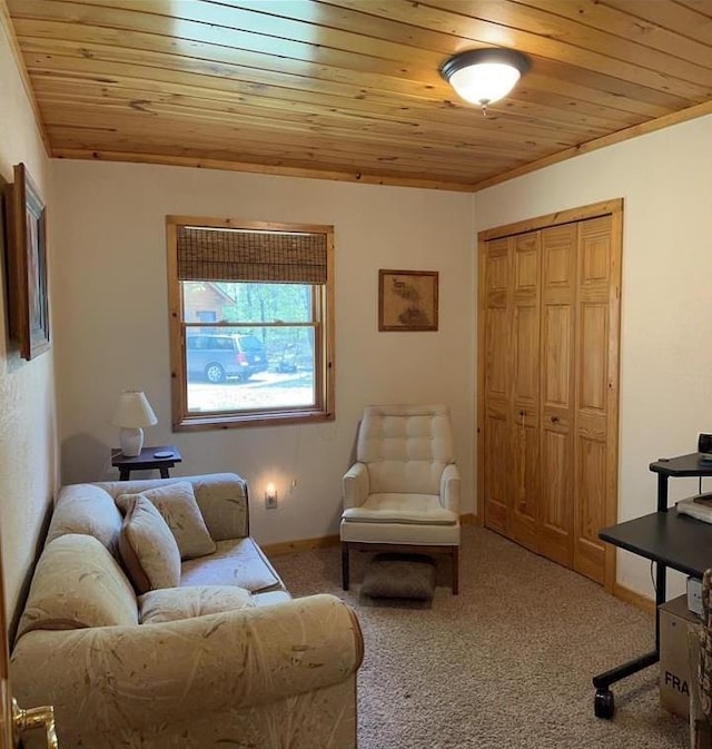 7431 Jordan Buck Trl, Danbury, WI 54830 - carpeted living room with wood ceiling and baseboards