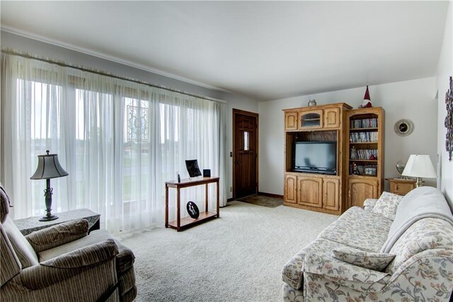 12482 65th Ave, Chippewa Falls, WI 54729 - living room with light colored carpet