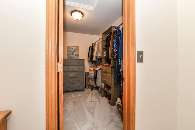 884 Joshua Ct, Pewaukee, WI 53072 - walk in closet with carpet flooring and attic access